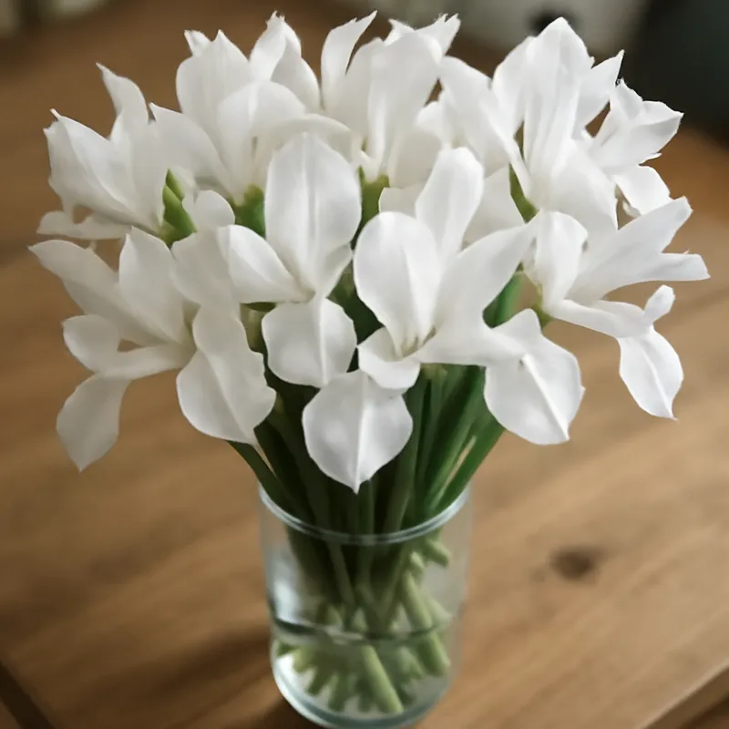 Iris – weiß – Bild 3