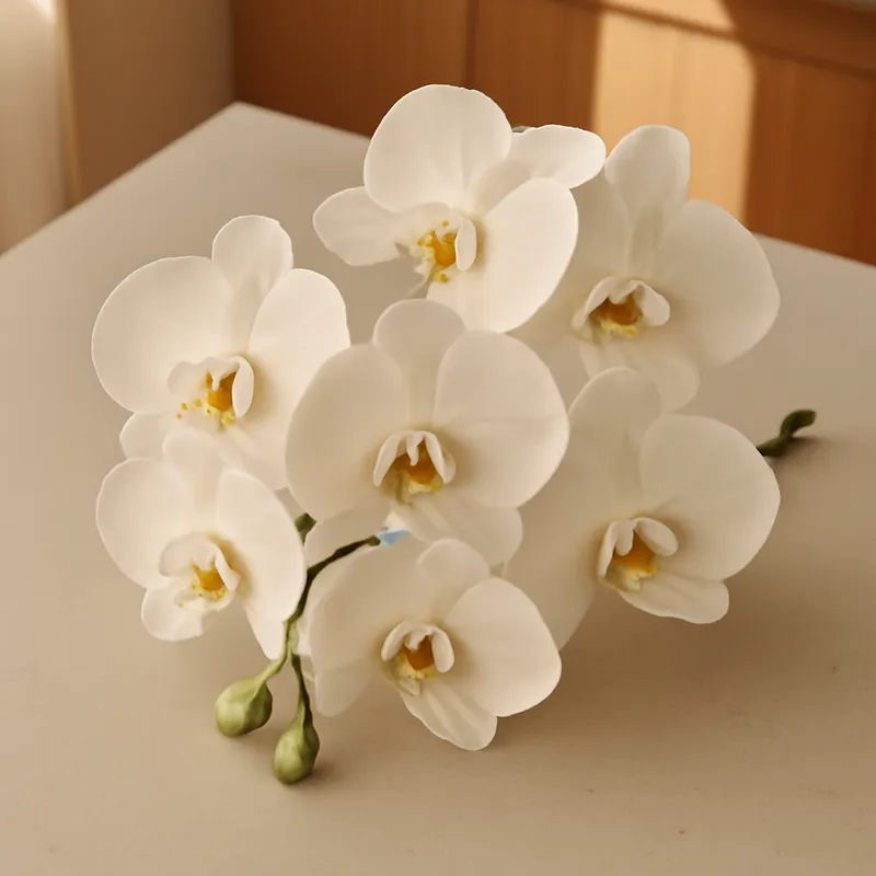 Orchidee (Phalaenopsis) - Klassisch – Bild 3