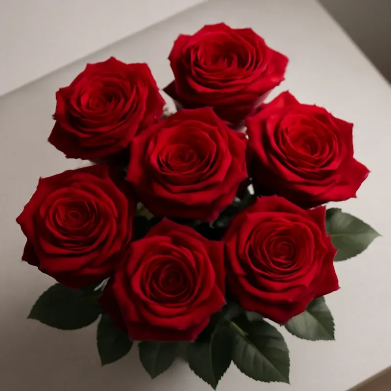 Rose – rot – Bild 3