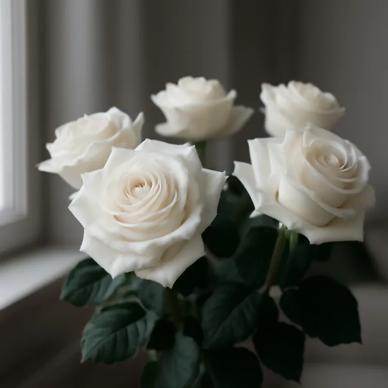 Rose – weiß – Bild 3