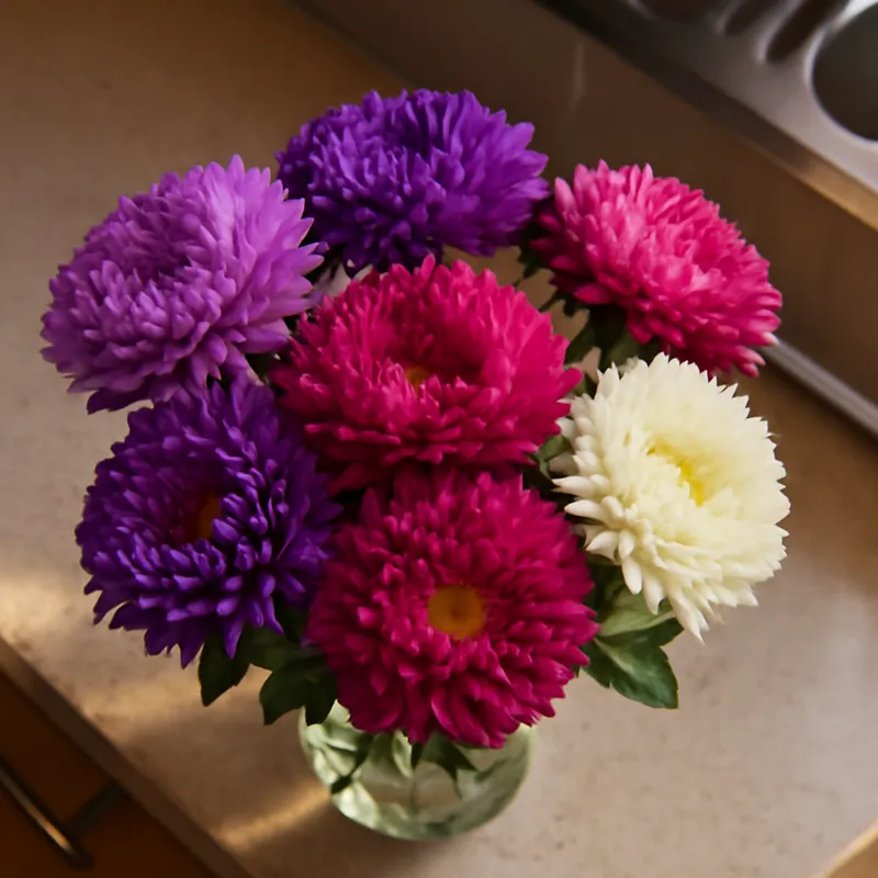 Sommaraster – klassisch – Bild 3