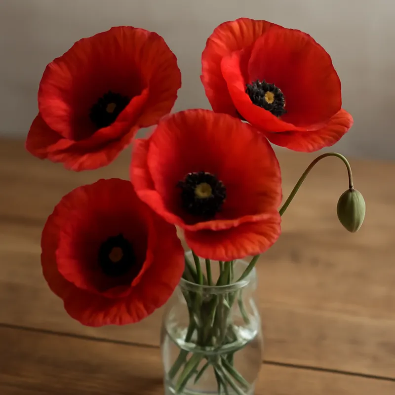 Mohn – klassisch – Bild 3