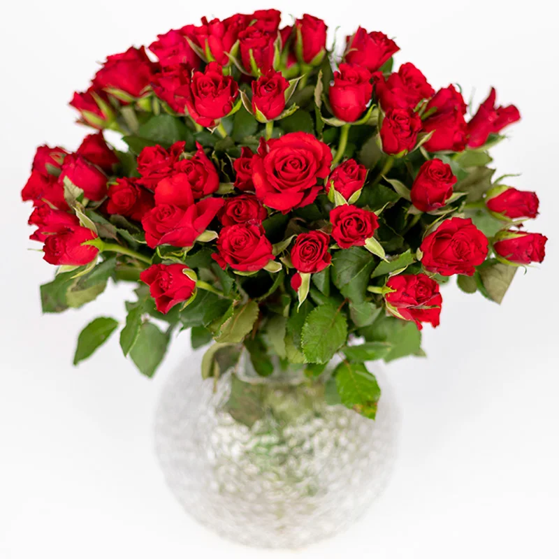 Rote Rosen zum Valentinstag