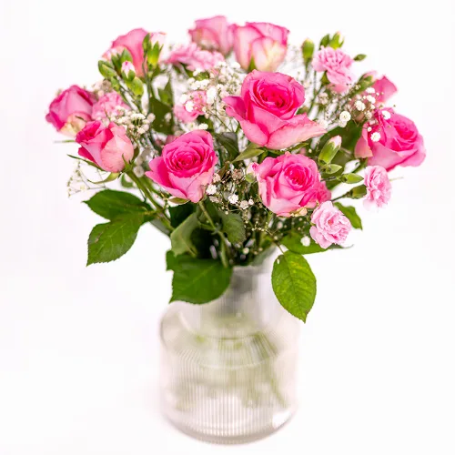 Premium Pinke Rosen