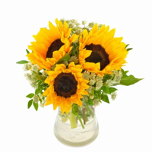 Sonnige Sonnenblumen