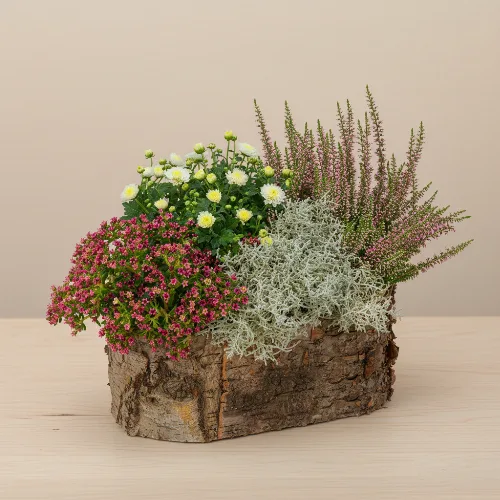 Rosa Herbstarrangement
