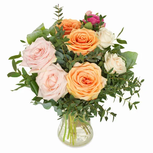 Umwerfende Rosen