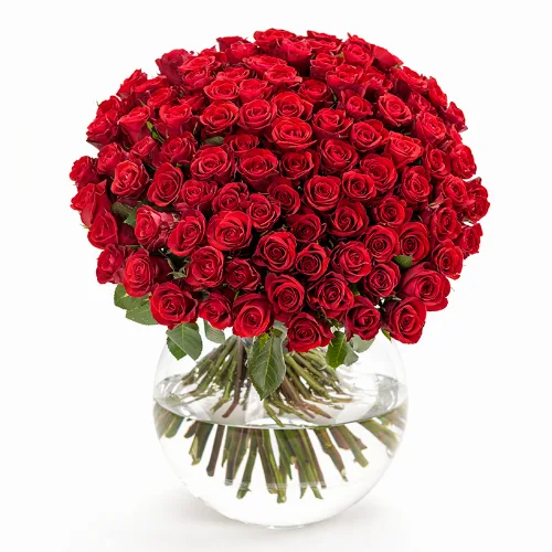 100 rote Rosen